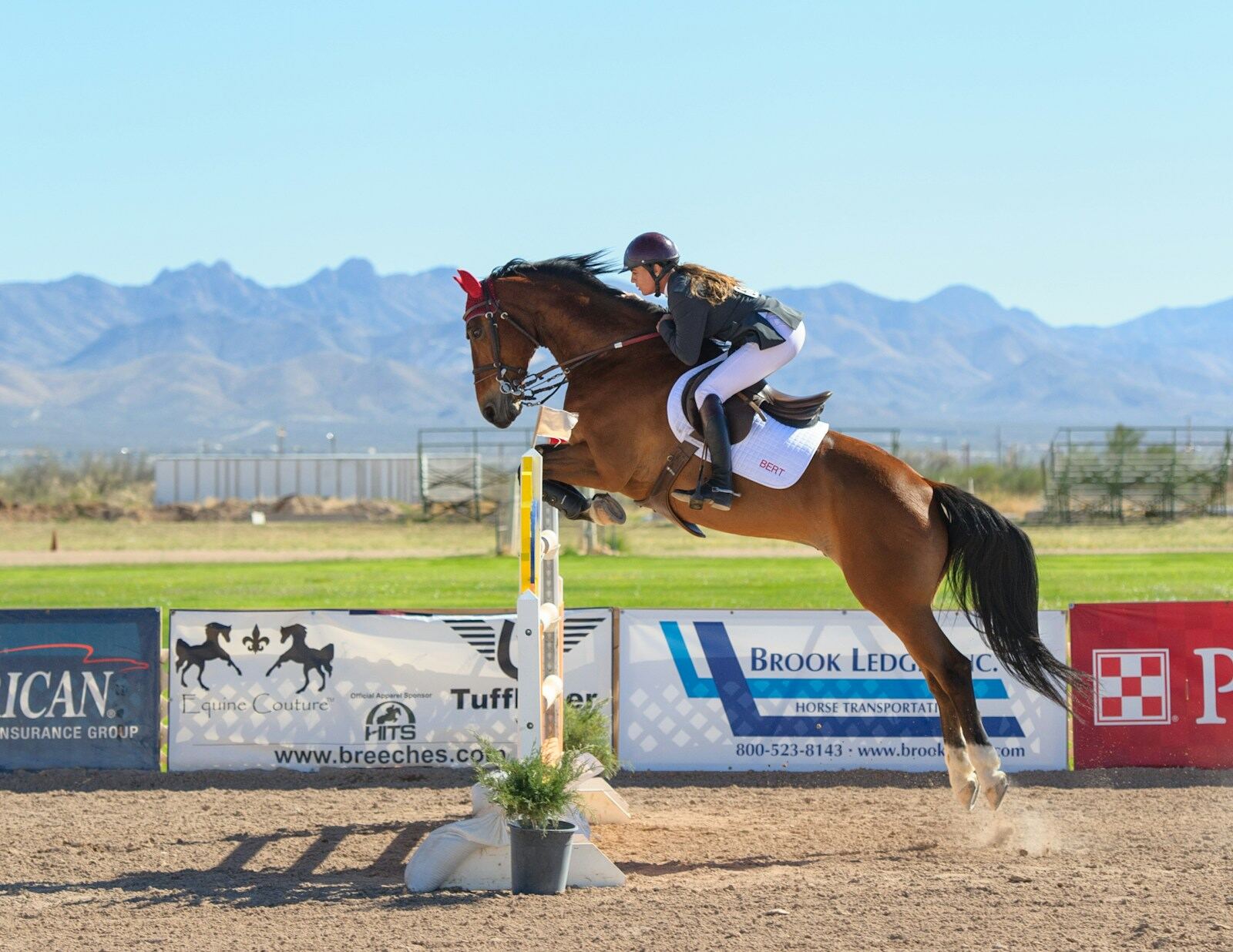 Jumping 1