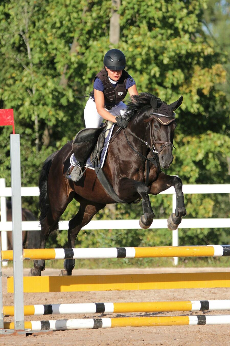 Jumping 3
